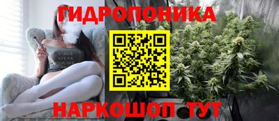 apvp Дубна