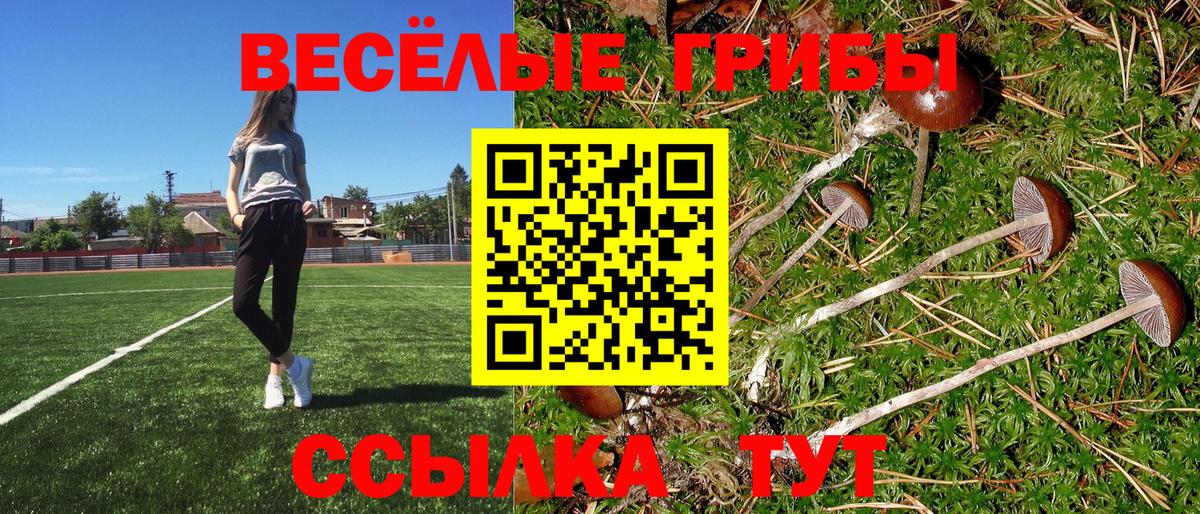 Галлюциногенные грибы ЛСД  Вход с VPN  закладки  Кудымкар 